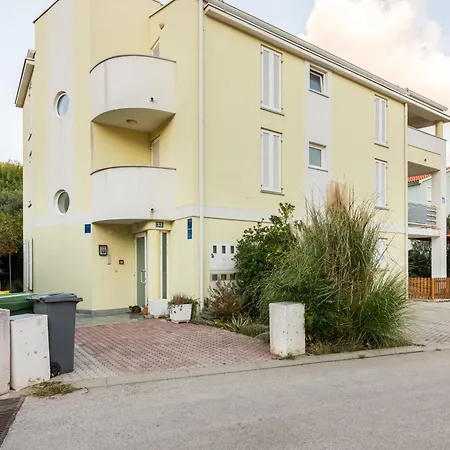 Olivella With Terrace